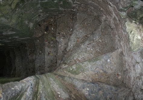Amoganmore Castle: Straight stair turning to spiral stair | Joseph Lennon