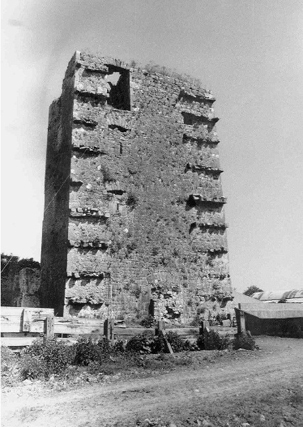 Ballinveala Castle: c.1990, showing projecting bond stones from the west wall; currently overgrown with vegetation. | Colm Donnelly