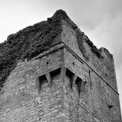 Ballyallinan Castle | Joseph Lennon