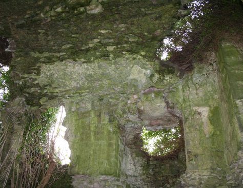 Ballybricken Castle: Vault over first floor. | Joseph Lennon