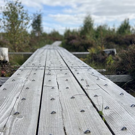 A boardwalk guides the walker through Scohaboy Bog to a large viewing platform | Hassan Dabbagh