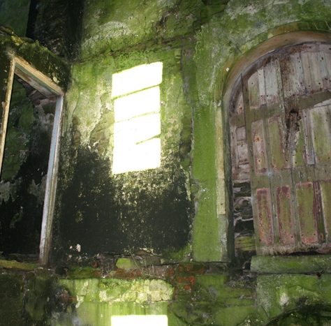 Ballyvenoge Castle: Original arched door | Joseph Lennon
