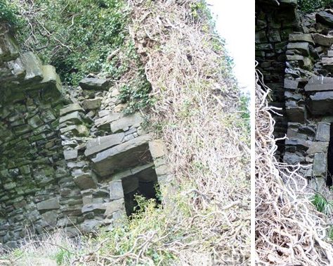Bruree-Ballynoe Castle: Door to and from spiral stairs | Joseph Lennon