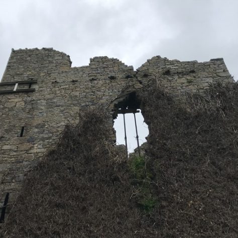 Bruree-Ballynoe Castle | Joseph Lennon