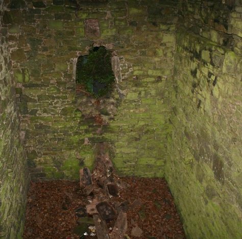 Bruree-Ballynoe Castle: Opposite wall | Joseph Lennon