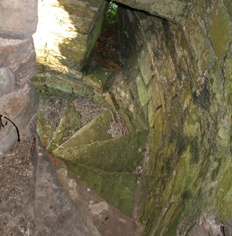 Bruree-Lotteragh Castle: Narrow spiral stair | Joseph Lennon