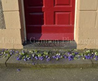 Flowers on doorstep | Michael Gannon